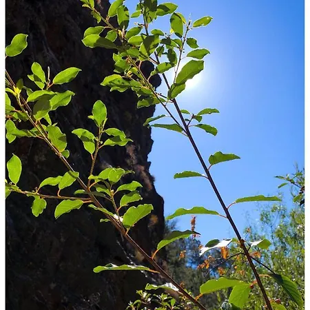 Διαμέρισμα Casa Vinte & Cinco Local Penha Garcia