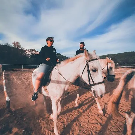 Casa Vinte & Cinco Local