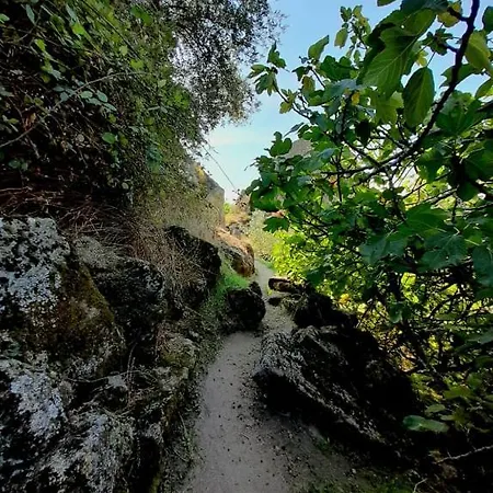 Casa Vinte & Cinco Local *