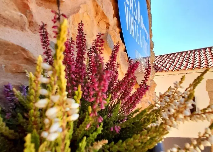 Apartment Casa Vinte & Cinco Local