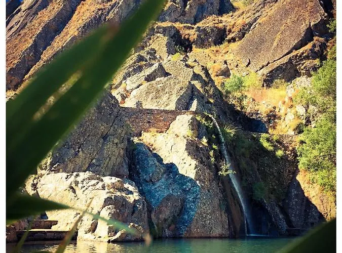 Casa Vinte & Cinco Local Apartment