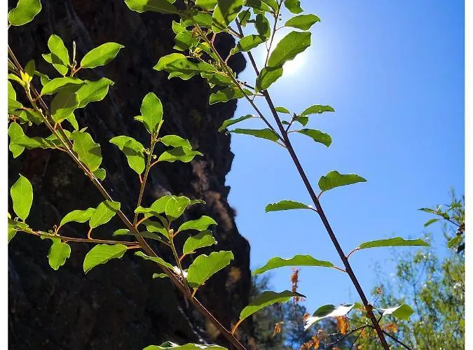 Apartment Casa Vinte & Cinco Local Penha Garcia
