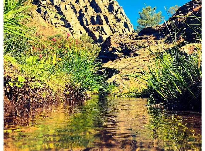 Apartment Casa Vinte & Cinco Local