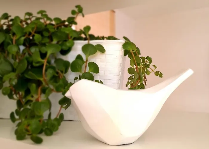 Casa Vinte & Cinco Local Apartment