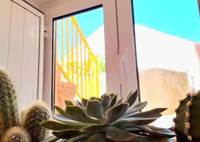 Casa Vinte & Cinco Local *