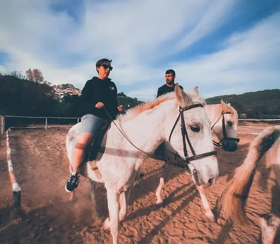 Casa Vinte & Cinco Local