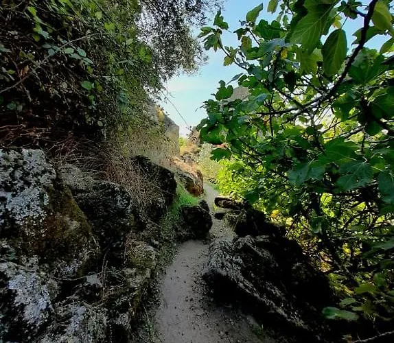 Casa Vinte & Cinco Local *