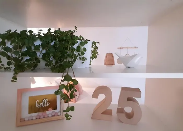 Casa Vinte & Cinco Local Apartment